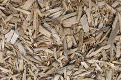 biomass boilers Sandonbank